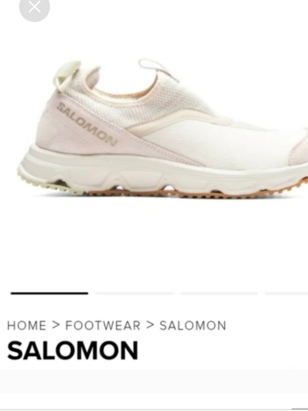 Salomon Shoes